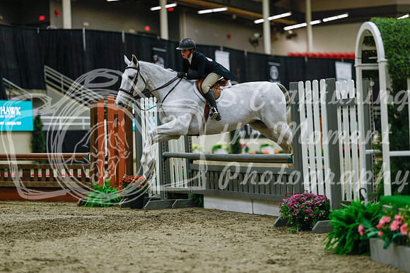2025 - Haylee - Royal West - Saturday October 18th - 04411