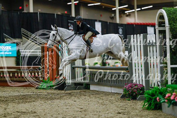 2025 - Haylee - Royal West - Saturday October 18th - 04412