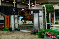 2025 - Haylee - Royal West - Saturday October 18th - 04439