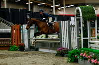 2025 - Haylee - Royal West - Saturday October 18th - 04442