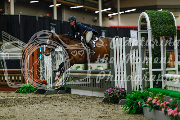 2025 - Haylee - Royal West - Saturday October 18th - 04443