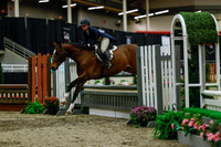 2025 - Haylee - Royal West - Saturday October 18th - 04444