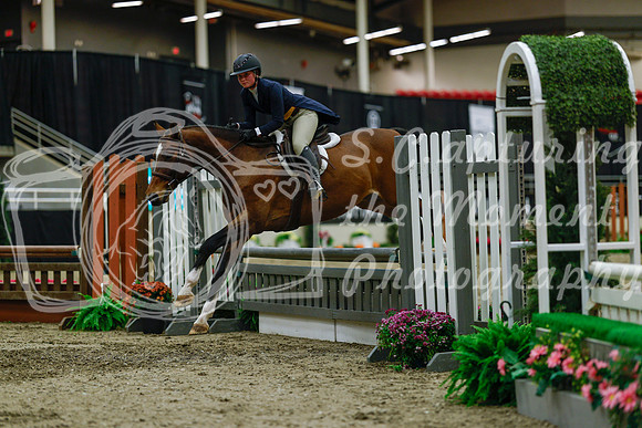 2025 - Haylee - Royal West - Saturday October 18th - 04444