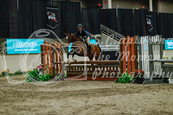 2025 - Haylee - Royal West - Saturday October 18th - 04452