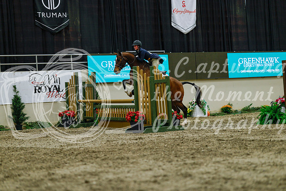 2025 - Haylee - Royal West - Saturday October 18th - 04455
