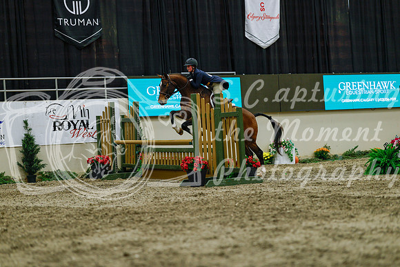 2025 - Haylee - Royal West - Saturday October 18th - 04456