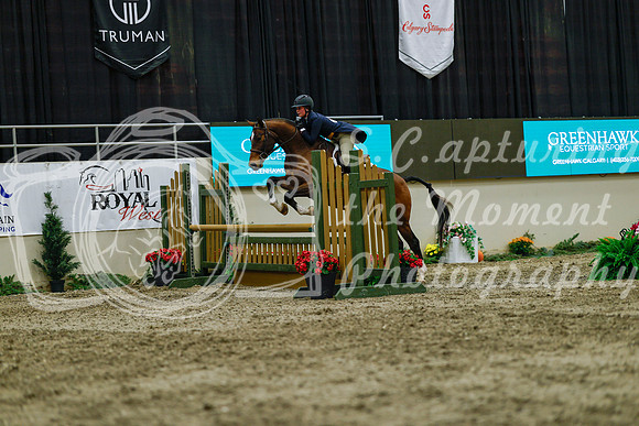 2025 - Haylee - Royal West - Saturday October 18th - 04457