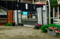 2025 - Haylee - Royal West - Saturday October 18th - 04201