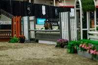 2025 - Haylee - Royal West - Saturday October 18th - 04203