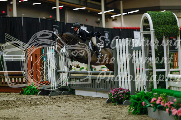 2025 - Haylee - Royal West - Saturday October 18th - 04206