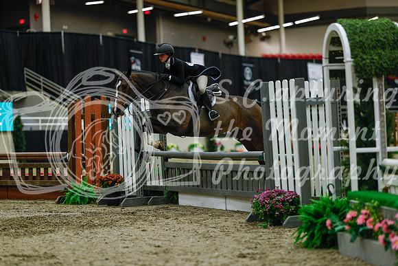 2025 - Haylee - Royal West - Saturday October 18th - 04208