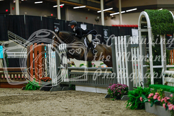 2025 - Haylee - Royal West - Saturday October 18th - 04207