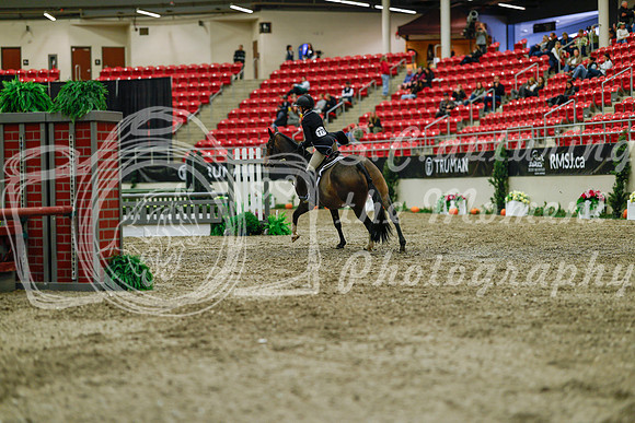 2025 - Haylee - Royal West - Saturday October 18th - 04214