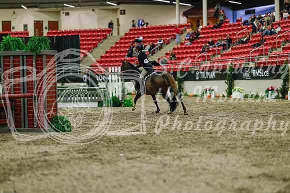 2025 - Haylee - Royal West - Saturday October 18th - 04215