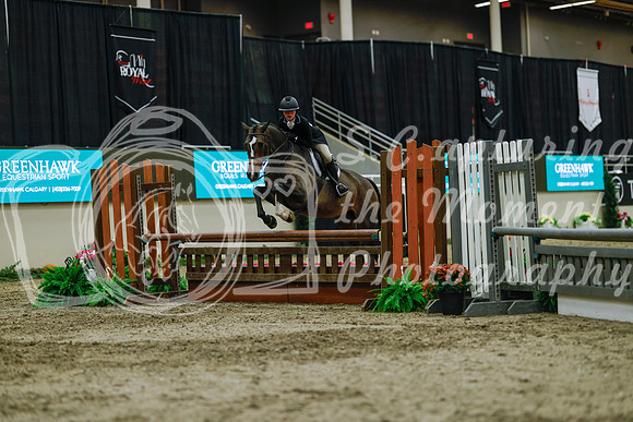 2025 - Haylee - Royal West - Saturday October 18th - 04216