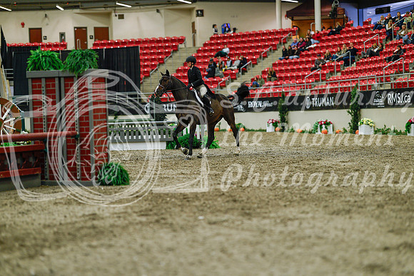 2025 - Haylee - Royal West - Saturday October 18th - 04238