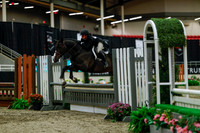 2025 - Haylee - Royal West - Saturday October 18th - 04245