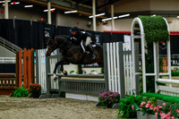 2025 - Haylee - Royal West - Saturday October 18th - 04246