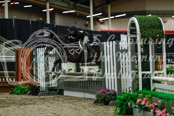 2025 - Haylee - Royal West - Saturday October 18th - 04246