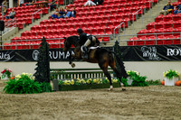 2025 - Haylee - Royal West - Saturday October 18th - 04249