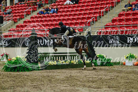 2025 - Haylee - Royal West - Saturday October 18th - 04249