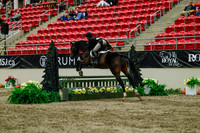 2025 - Haylee - Royal West - Saturday October 18th - 04250