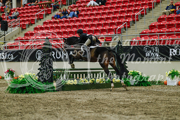 2025 - Haylee - Royal West - Saturday October 18th - 04250