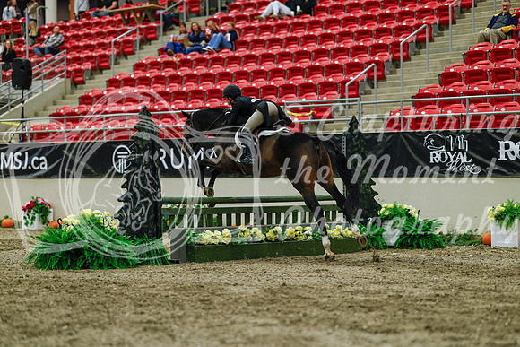 2025 - Haylee - Royal West - Saturday October 18th - 04251