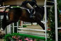 2025 - Haylee - Royal West - Saturday October 18th - 04254