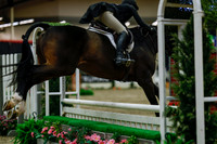 2025 - Haylee - Royal West - Saturday October 18th - 04255