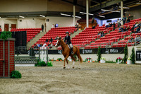 2025 - Haylee - Royal West - Saturday October 18th - 03669