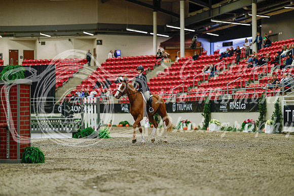 2025 - Haylee - Royal West - Saturday October 18th - 03669
