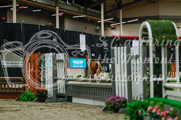 2025 - Haylee - Royal West - Saturday October 18th - 03671