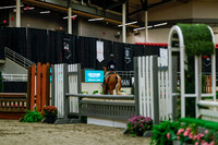 2025 - Haylee - Royal West - Saturday October 18th - 03672