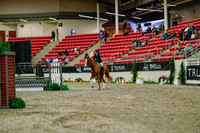 2025 - Haylee - Royal West - Saturday October 18th - 03673