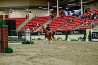2025 - Haylee - Royal West - Saturday October 18th - 03674