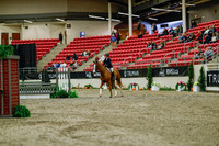 2025 - Haylee - Royal West - Saturday October 18th - 03675