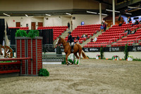 2025 - Haylee - Royal West - Saturday October 18th - 03677