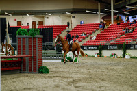 2025 - Haylee - Royal West - Saturday October 18th - 03678