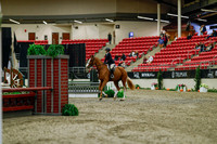 2025 - Haylee - Royal West - Saturday October 18th - 03679