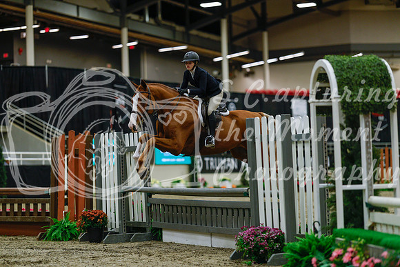 2025 - Haylee - Royal West - Saturday October 18th - 03684