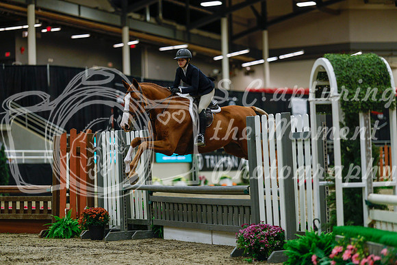 2025 - Haylee - Royal West - Saturday October 18th - 03685