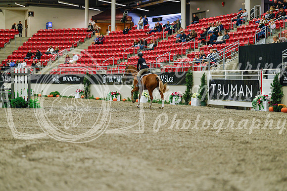 2025 - Haylee - Royal West - Saturday October 18th - 03687