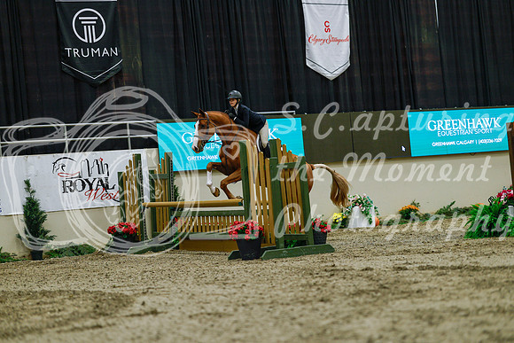 2025 - Haylee - Royal West - Saturday October 18th - 03694