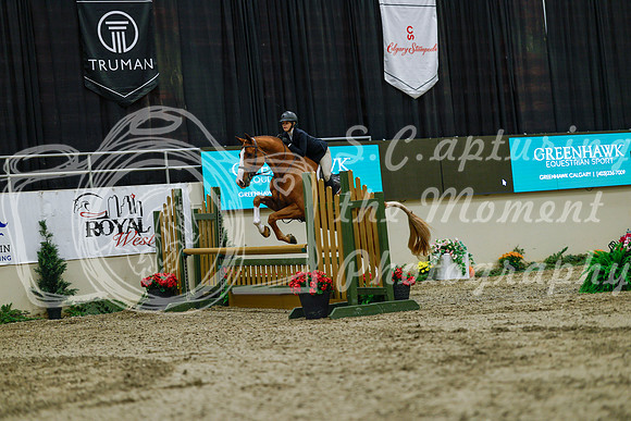 2025 - Haylee - Royal West - Saturday October 18th - 03695