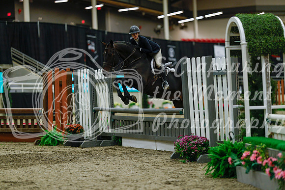 2025 - Haylee - Royal West - Saturday October 18th - 04508