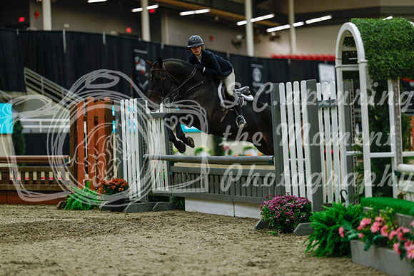 2025 - Haylee - Royal West - Saturday October 18th - 04509
