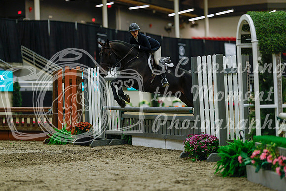 2025 - Haylee - Royal West - Saturday October 18th - 04510