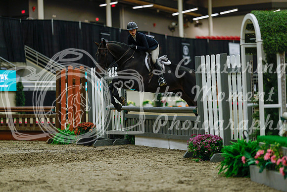 2025 - Haylee - Royal West - Saturday October 18th - 04511