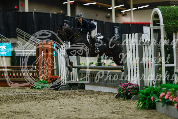 2025 - Haylee - Royal West - Saturday October 18th - 04512
